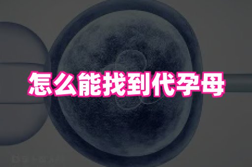 69助孕网 1