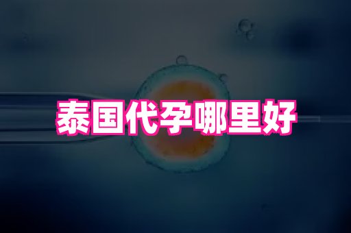 69助孕网 3
